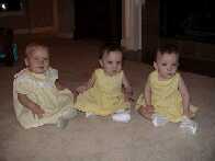 Don't We Look Good In Yellow?