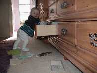 Is This Your Shelt Mommy?