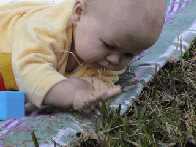 Grass Taste Good....