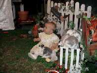 A Live Bunny On My Lap :-)