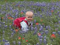 Help, The Flowers Attack Me :-)